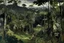 Placeholder: A black jungle with a treetop village painted by Claude Monet