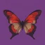 Placeholder: A butterfly, red, in the style of egonSchiele, purple background