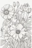 Placeholder: french botanical flower picture coloring book