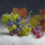 Placeholder: Grapes under snow