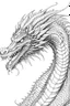 Placeholder: coloring image of dragon, line art, realistic, white background