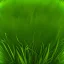 Placeholder: stylized grass texture, seamless