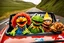 Placeholder: World Class Photograph of 3 Sesame Street muppets sitting in a convertible car and smiling on their road trip- one is Kermit the Frog, One is Cookie Monster, and one is Donald Trump muppet