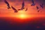 Placeholder: sunset view from above birds