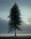 Placeholder: Pine tree with a tall hat above the cloud