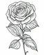 Placeholder: outline art for bold and easy coloring pages with A very simple and super minimal design featuring a beautiful rose., white background, sketch style, fully body, only use outline, cartoon style, clean line art, white background, no shadows and clear and well outlined