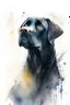 Placeholder: A portrait of black Labrador by Willem Haenraets, watercolor, wet on wet and splattering techniques, centered, perfect composition, abstraction, surrealism