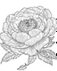 Placeholder: real massive peony flower coloring page