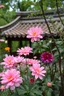 Placeholder: China, Garden, Flowers