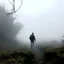 Placeholder: A man walks in the middle of fog and ground covered with large thorns