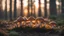 Placeholder: mushroom feast in the forest,sunset, low light, close-up, blurred background