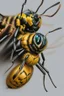 Placeholder: Realistic drawing with colored pencils of a wasp on a white background