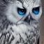 Placeholder: snow OWL RAVEN