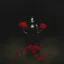 Placeholder: Night, one woman in black dress taking red flowers, vegetations, forest, doom, creepy, gloomy, gothic dark influence