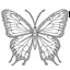 Placeholder: Butterflie coloring page for toddler