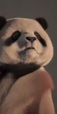 Placeholder: Demonic hellish panda