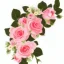 Placeholder: Pink roses, crisp detail, photograph