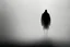 Placeholder: no back ground, The shadow of a bald, fallen man can be seen in the fog