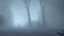 Placeholder: misty ghost in the graveyard