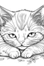 Placeholder: a super cute sleeping kitten with blue eyes to color