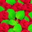 Placeholder: raspberry, plain background