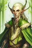 Placeholder: An adult wood elf man with white blonde hair, pointy ears, a feather cloak, fancy clothes, short beard, fancy clothes, light skin
