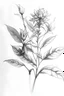 Placeholder: usine dessin