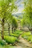 Placeholder: watercolor of spring in the wine yard