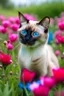 Placeholder: Un gato siamés en un campo lleno de flores rosas y azules