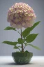 Placeholder: an isolated translucent hydrangea plant, 3d render, art nouveau style, ultra realistic, masked transparent flat background, backlight, popular on sketchfab, pixelsquid, 8k, volumetric lighting, super focused, no blur, trending on artstation, octane render, ultra detailed, hyperrealistic, by artgerm and alphonse mucha