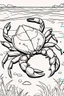 Placeholder: coloring page for kids, CRAB, thick outline, low details, no shading, no color