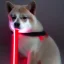 Placeholder: darth shiba inu with a red light saber