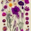 Placeholder: delicate arrangement of pressed flowers, beautiful composition, aesthetic layout, wildflowers, fine lineart