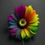 Placeholder: Create dark colour rainbow sunflower grey background