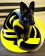 Placeholder: A black, round creature with long ears with yellow stripes and a long tail with a yellow stripe