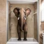 Placeholder: surreal photograph of a massive elephant uncomfortably contorted in a small stand-up shower in a suburban bathroom, elephant is too big and has to hunch over his head touching the ceiling and his bulk pushed up uncomfortably against the shower glass door