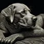 Placeholder: a black and white 3D image of a light brown labrador lying down, surreal and otherworldly, intricate linework, mind-bending composition, intricate patterns,masterful use of light and shadow,masterful use of light and shadow,masterful use of light and shadow, dreamlike quality, detailed linework akin to Moebius, intricate details, vibrant and contrasting colors, Artstation for showcasing.