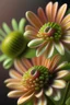 Placeholder: Flower cort, lime green and peach striped flowers, 8k,sharp focus, hyper realistic, sony 50mm 1.4