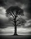 Placeholder: conceptual photo, art photo, illusion, fine arts, death, dark cloudy sky, surrealism, black and white, single tree