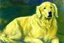 Placeholder: Golden retriever, impressionist oil on canvas by Paul Cézanne, 1887, broad brushstrokes, canvas relief