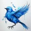 Placeholder: a blue bird in dancing