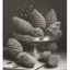 Placeholder: a realistic still life graphite drawing of pine cones in the classical style of Pieter Claesz, Jan Jansz. van de Velde and Anthonie Leemans