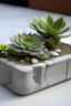 Placeholder: Create a realistic image of a mini concrete succulent planter designed as a stepping stone, with a rough, natural texture and a lovely succulent.