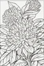 Placeholder: flowers coloring page for kids, Ixora, cartoon style, thick outline, low details, no shading, no color