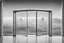 Placeholder: a surreal open glass gate in a glass wall with a view of a desolate landscape, fog, monochrome, strong contrasts, by artist "Leonora Carrington",by artist "Zaha Hadid""