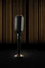 Placeholder: stage and microphone