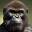 Placeholder: Gorilla unreal 5, octane render,cinema4d, dynamic lighting, dramatic lighting, 4k, redshift render, highly detailed, hyper realistic, in space