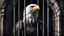 Placeholder: Fantasypunk, an eagle, sitting in a cell, looking through the bars, gothic style.