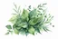 Placeholder: watercolor drawing dark green Gothic bouquet of medicinal herbs and twigs with leaves on a white background, Trending on Artstation, {creative commons}, fanart, AIart, {Woolitize}, by Charlie Bowater, Illustration, Color Grading, Filmic, Nikon D750, Brenizer Method, Side-View, Perspective, Depth of Field, Field of View, F/2.8, Lens Flare, Tonal Colors, 8K, Full-HD, ProPhoto RGB, Perfectionism, Rim Lighting, Natural Lighting, Soft Lighting, Accent Lighting, Diffraction Grading, With Imperfections