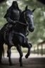 Placeholder: portrait of black ninja knight riding out from stable,shot on Hasselblad h6d-400c, zeiss prime lens, bokeh like f/0.8, tilt-shift lens 8k, high detail, smooth render, down-light, unreal engine, prize winning